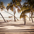 07 Maledives-Bali.jpg